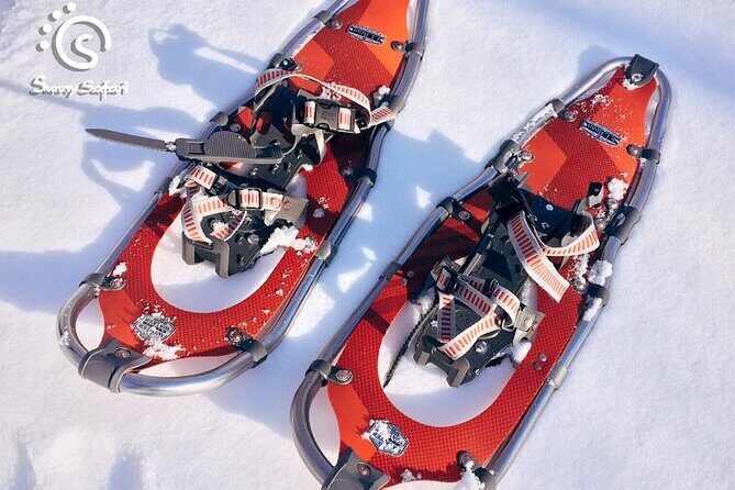 Snowshoeing in Lapland Wilderness - Who Will Love This Tour?