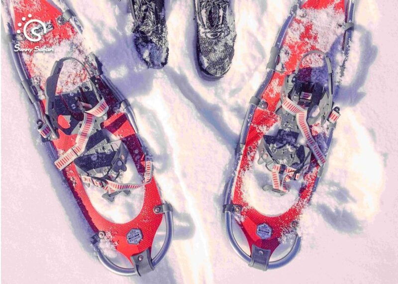 snowshoeing-in-lapland-wilderness