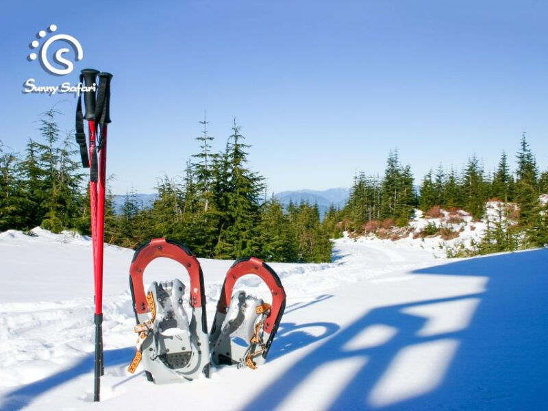 snowshoeing-in-lapland-wilderness