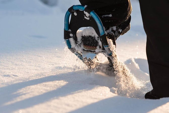 snowshoeing-in-the-arctic-circle-wilderness