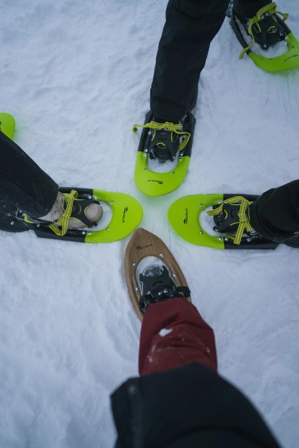 snowshoeing-in-the-frozen-forest