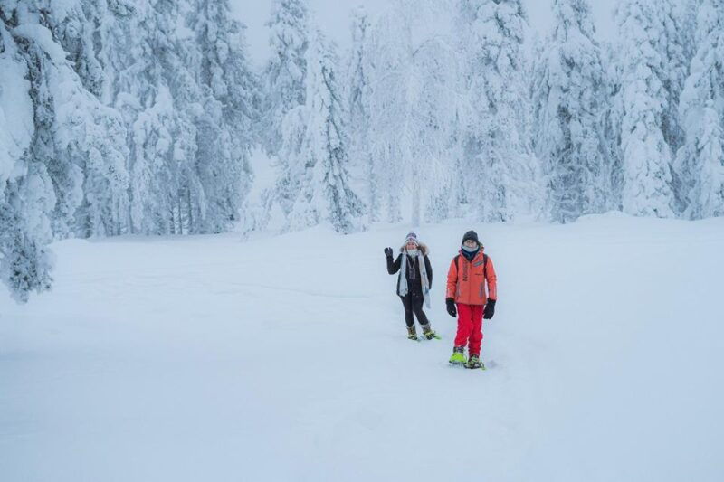 snowshoeing-in-the-frozen-forest