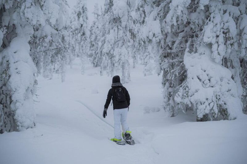 snowshoeing-in-the-frozen-forest