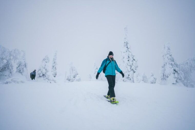 snowshoeing-in-the-frozen-forest