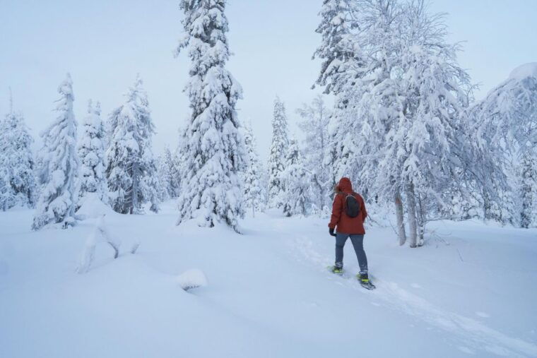 snowshoeing-in-the-frozen-forest
