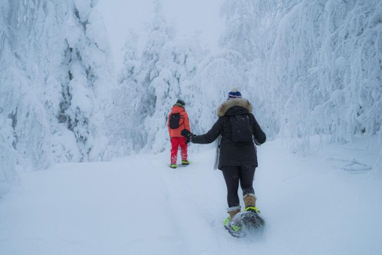 snowshoeing-in-the-frozen-forest