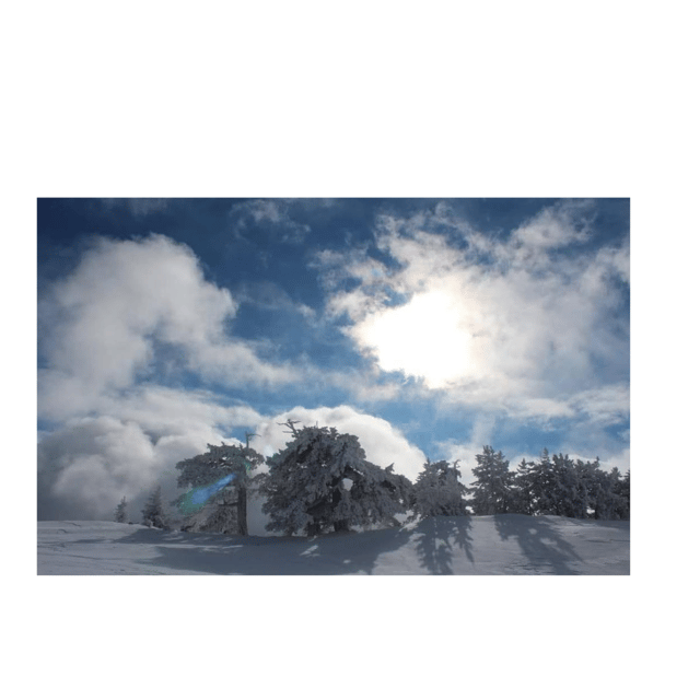 snowshoeing-in-the-pollino-national-park