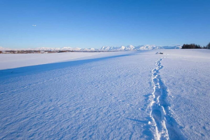 Snowshoeing on a Sparkling Biei Hill & Winter Cafe Time - Authentic Experience & What Travelers Say