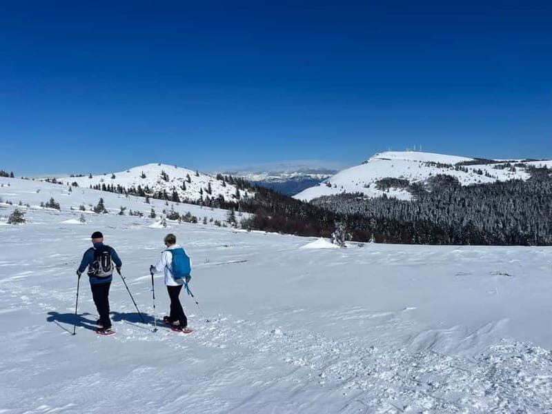 Snowshoeing on the Lure mountain - Key Points