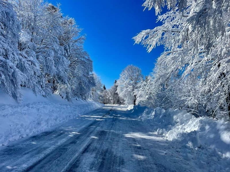 Snowshoeing on the Lure mountain - An Introduction to Snowshoeing in Provence