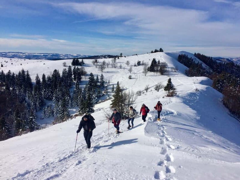 Snowshoeing on the Lure mountain - Why It’s Worth the Price