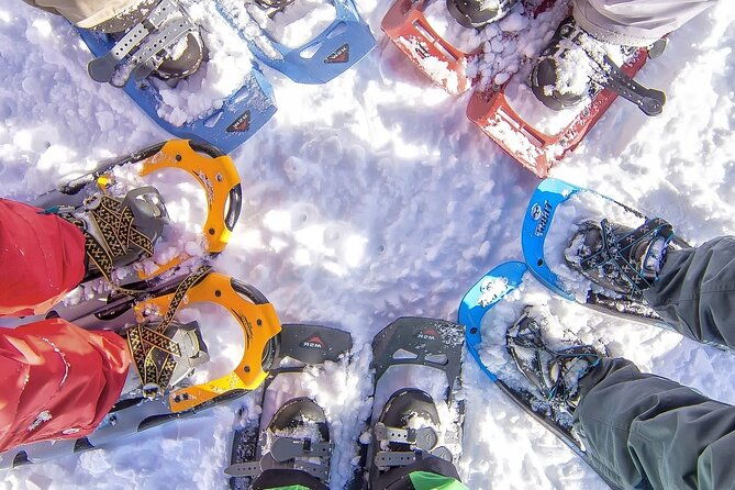 snowshoeing-tour-with-wild-lunch