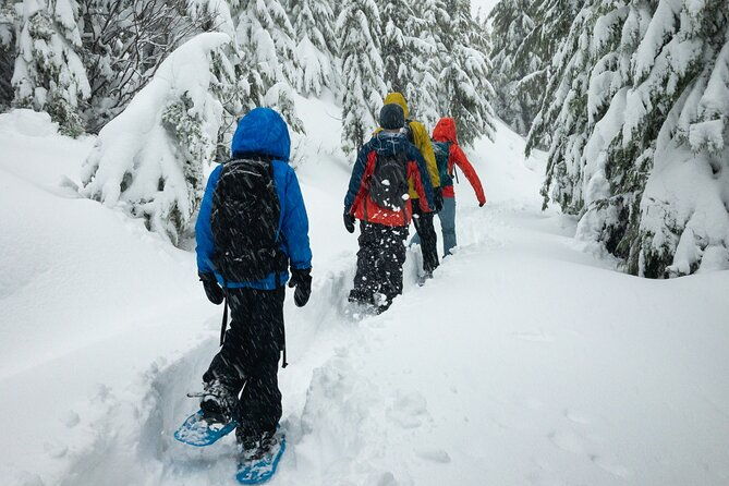 snowshoeing-tour-with-wild-lunch