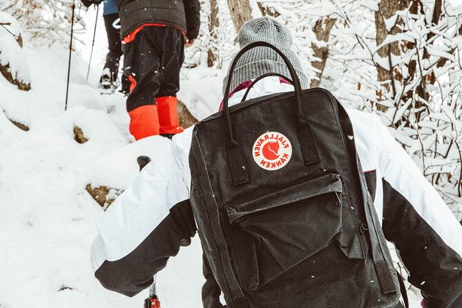 snowshoeing-tour-with-wild-lunch