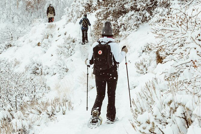 snowshoeing-tour-with-wild-lunch
