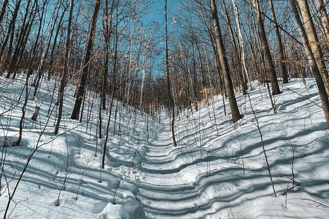 snowshoeing-tour-with-wild-lunch
