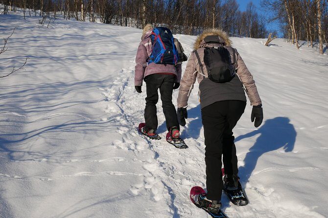 Snowshoeing With A View - The Sum Up: Who Will Love Snowshoeing With A View?