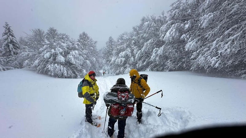 SNOWSHOES - Snowshoes in Nouvelle-Aquitaine: An Easy and Authentic Winter Adventure