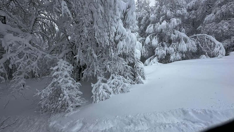 SNOWSHOES - Final Thoughts