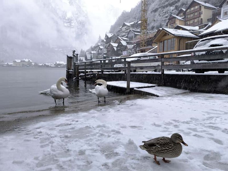 Snowy Alps & Fairytale Towns: Hallstatt & Salzburg Tour - What’s Included and What’s Not