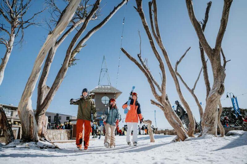 Snowy Escapes: Mount Buller Alpine Adventure - Snow-filled Activities for Everyone