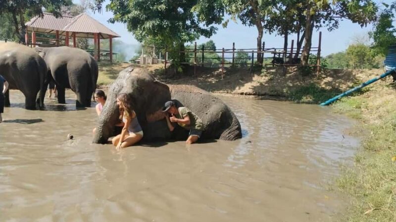 SO MANY BAD TITLES - An Authentic and Respectful Approach to Elephant Experiences