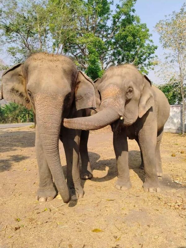 SO MANY BAD TITLES - Who Should Consider This Tour?