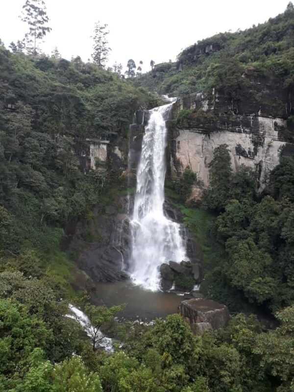 Soar Above TeaGarden Nuwara Eliyas First Zipline Experience - Key Points