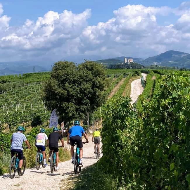 Soave: E-Bike Tour with Wine Tasting in a Local Winery - An In-Depth Look at the Experience  