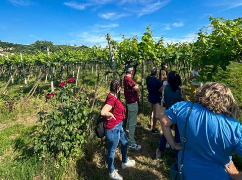Soave: Wine Tasting and Vineyard Tour in Historical Centre - Discovering Soave: A Charming Italian Village
