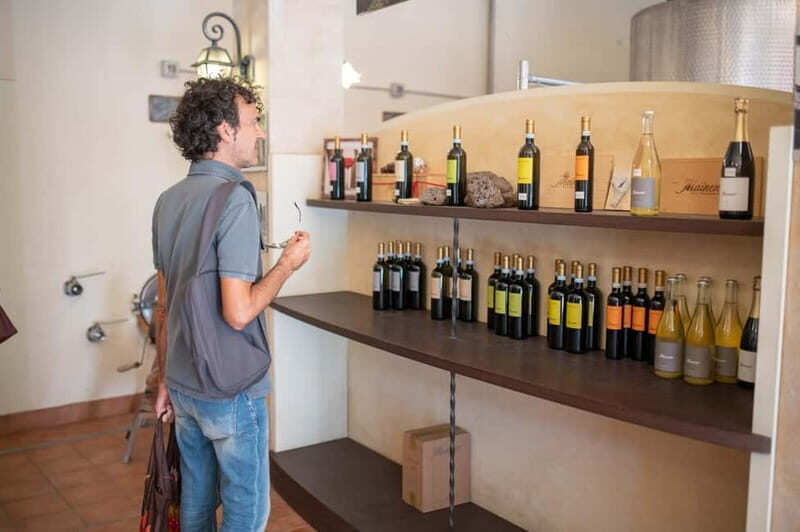 Soave: Wine Tasting and Vineyard Tour in Historical Centre - Setting the Scene: Historic, Panoramic, and Hospitable