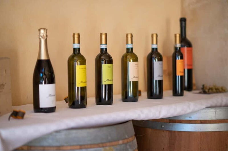 Soave: Wine Tasting and Vineyard Tour in Historical Centre - Who Will Love This Experience?