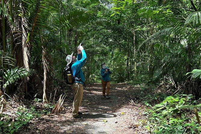 soberania-national-park-and-camino-de-cruces-hiking-tour