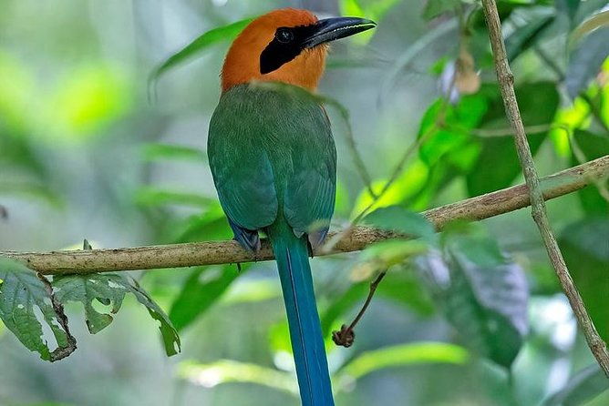 soberania-national-park-day-trip-from-panama-city