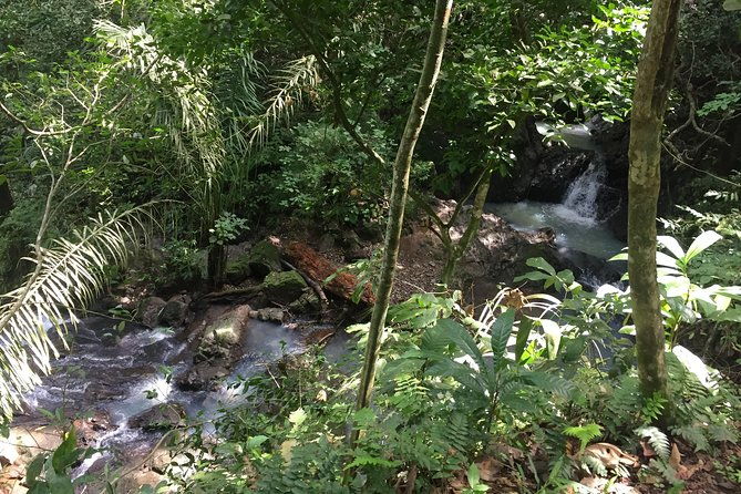 soberania-national-park-hike