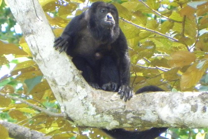 soberania-national-park-hike