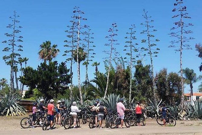 socal-riviera-electric-bike-tour-of-la-jolla-and-mount-soledad