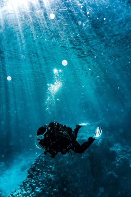 Socotra Diving Safari: 8-Day Group Tour in Protected Waters - Socotra Diving Safari: An 8-Day Group Tour in Protected Waters