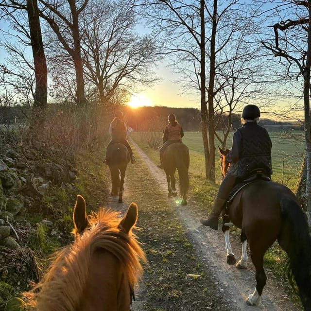 Söderåsens Nationalpark: 2,5h horse back ride - Who Should Consider This Tour?
