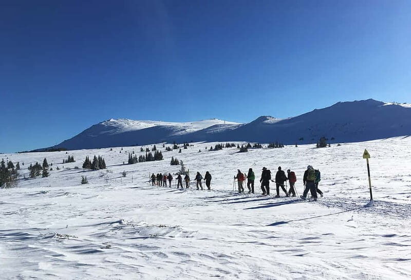 Sofia: Black Peak-Vitosha Mountain Snowshoeing Day Trip - An In-Depth Look at the Vitosha Snowshoeing Tour