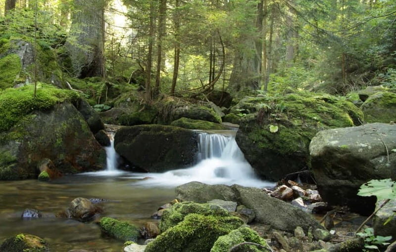 Sofia: Lovech, Devetaki Cave and Krushuna Waterfalls Tour - Sofia: Lovech, Devetaki Cave, and Krushuna Waterfalls Tour