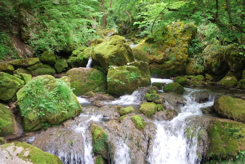 Sofia: Rila Monastery, St. Ivan Rilski Cave & Stob Pyramids - Who Is This Tour Best For?  