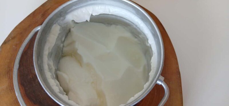 Sofia: Taste Bulgarian Yogurt Kiselo Mlyako in a Family Home - Key Points