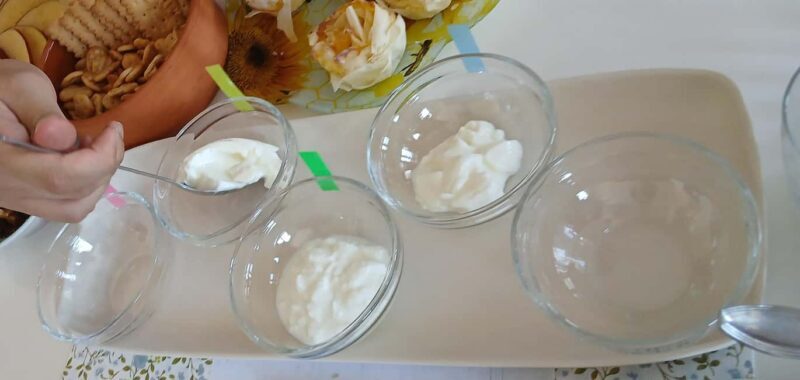 Sofia: Taste Bulgarian Yogurt Kiselo Mlyako in a Family Home - Practical Details