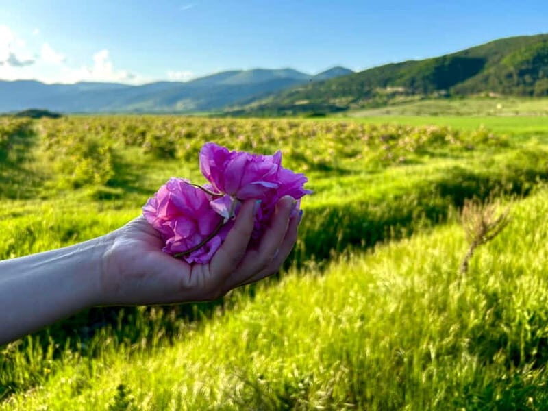 Sofia:The Highlights of Bulgaria - Rose Valley and Buzludzha - A Scenic Journey Through Bulgaria’s Most Notable Sights