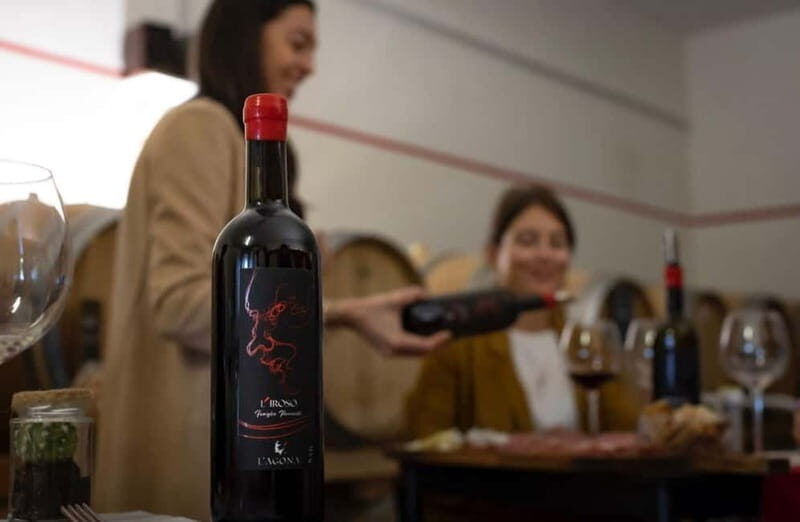 Soiana: Vineyard & Cellar Tour with Wine Tasting near Pisa - A Closer Look at the Vineyard & Cellar Tour
