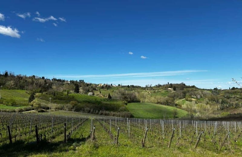 Soiana: Vineyard & Cellar Tour with Wine Tasting near Pisa - FAQs
