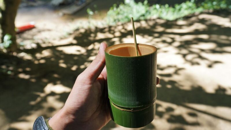 Sok River: Bamboo Raft Ride, Monkey Temple & View Point Tour - Who Will Love This Tour?