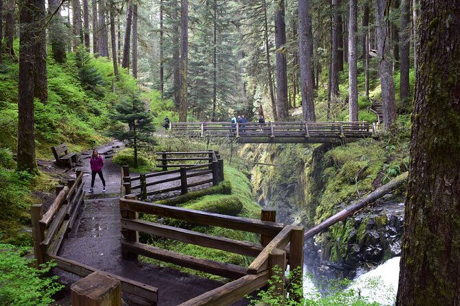 sol-duc-lake-crescent-and-hurricane-ridge-guided-tour-in-olympic-national-park