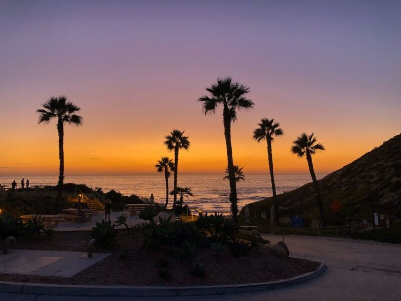 Solana Beach: Full Day Skimboard Rental - Key Points  